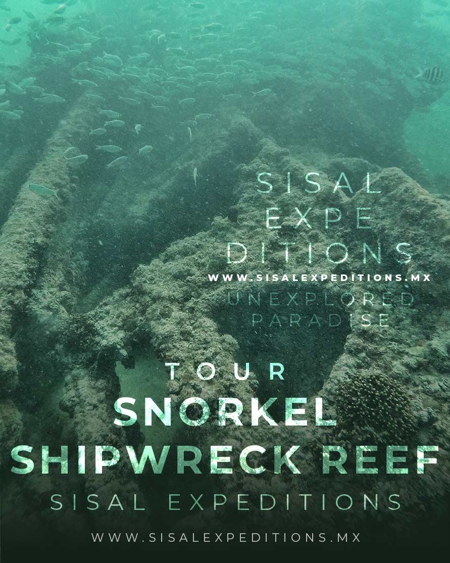 Snorkel Barco Hundido Sisal